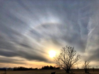 Ring Around the Sun