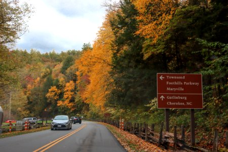 Laurel Creek Road, October 24, 2020 -- Warren Bielenberg (6)