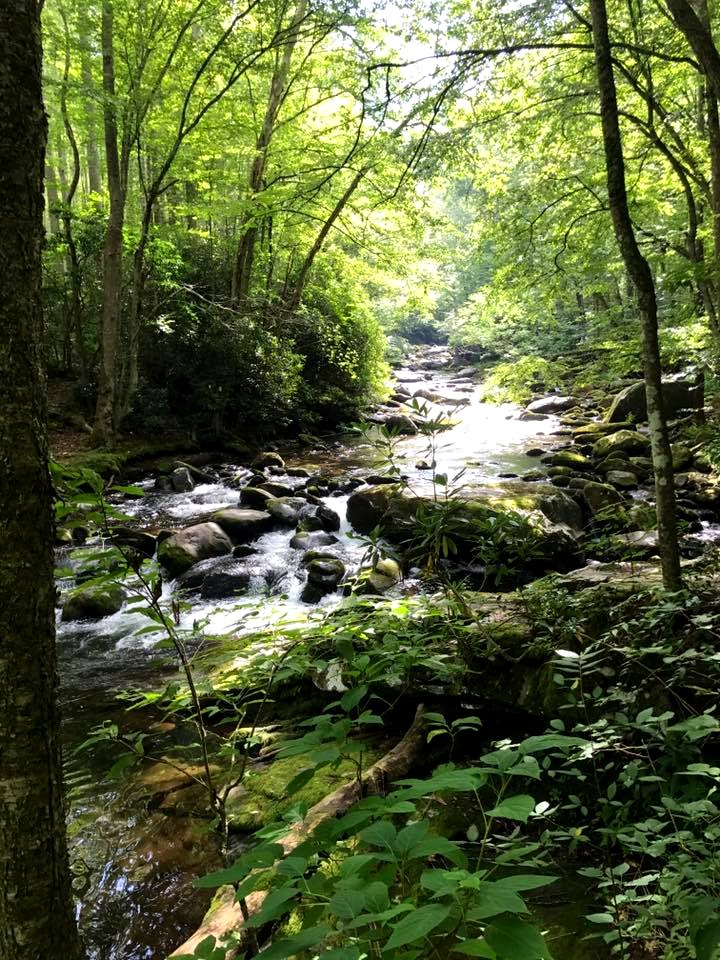 Little River, August 2018--Andrea Walton