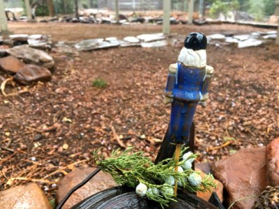 Weather Watch Report: Just Rain