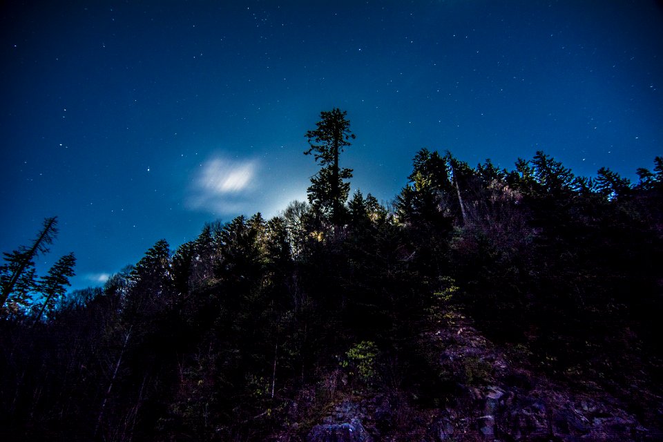 Night sky at Clingmans Dome, March 2018--Thom McManus