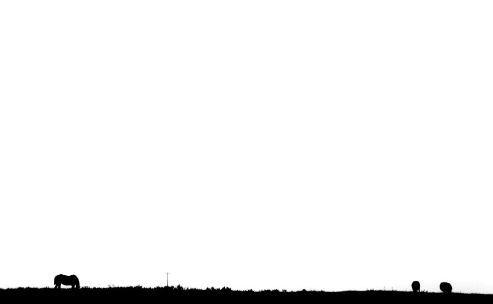 2018/365/281 Grazing the Horizon
