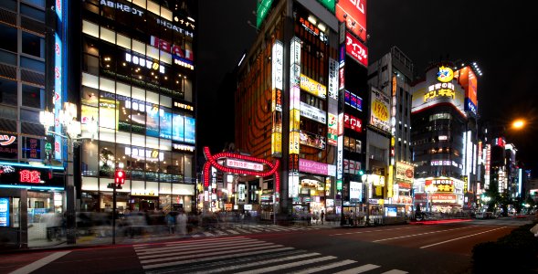2019 Tokyo Nighttime Neon Pedestrians and Traffic (3) photo