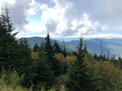 View from Clingmans Dome, September 2017--Andrea Walton