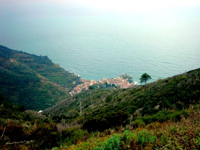 Cinque Terre Veduta Panoramica Monterosso Liguria Italia