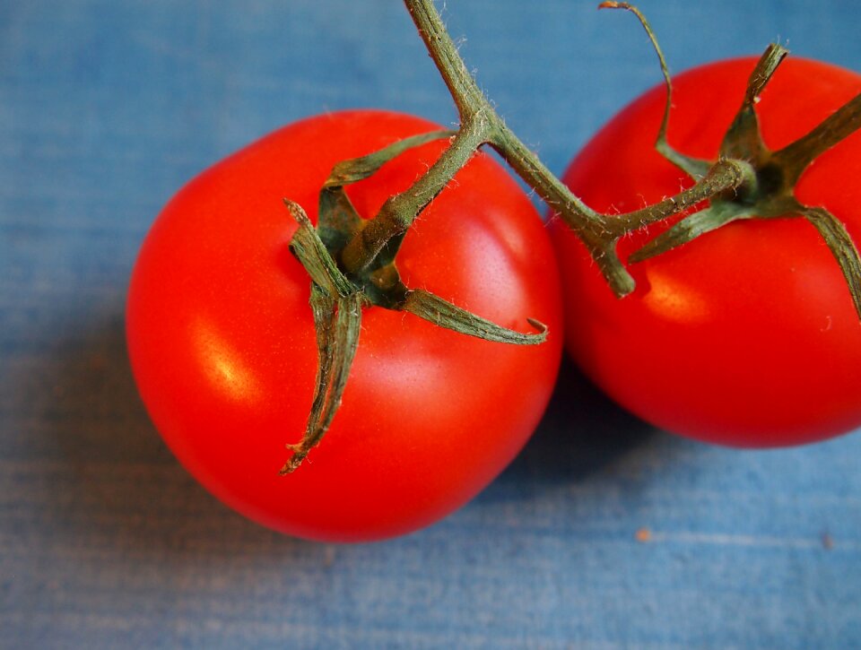 Vegetables nutrition vegetarian