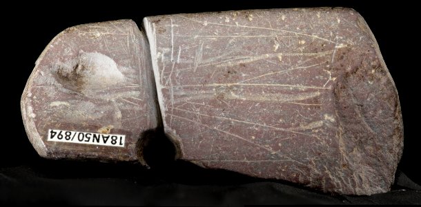 Ritually Killed Gorget, 894A A2 2015-03-11-12.30.52 ZS PMax Panorama