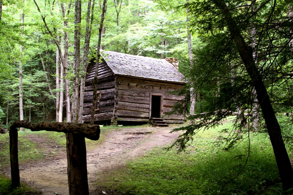 John Ownby Cabin, June 2013--Warren Bielenberg