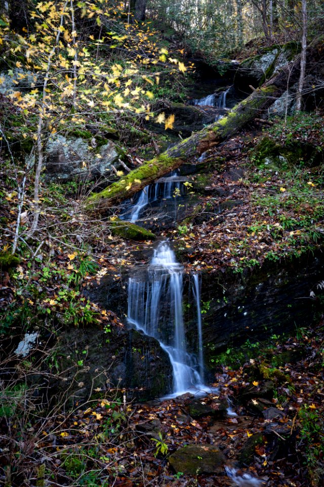 Foothills Parkway, November 2018--Joye Ardyn Durham