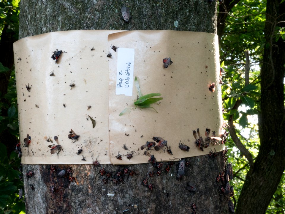 20180830-APHIS-LSC-0736