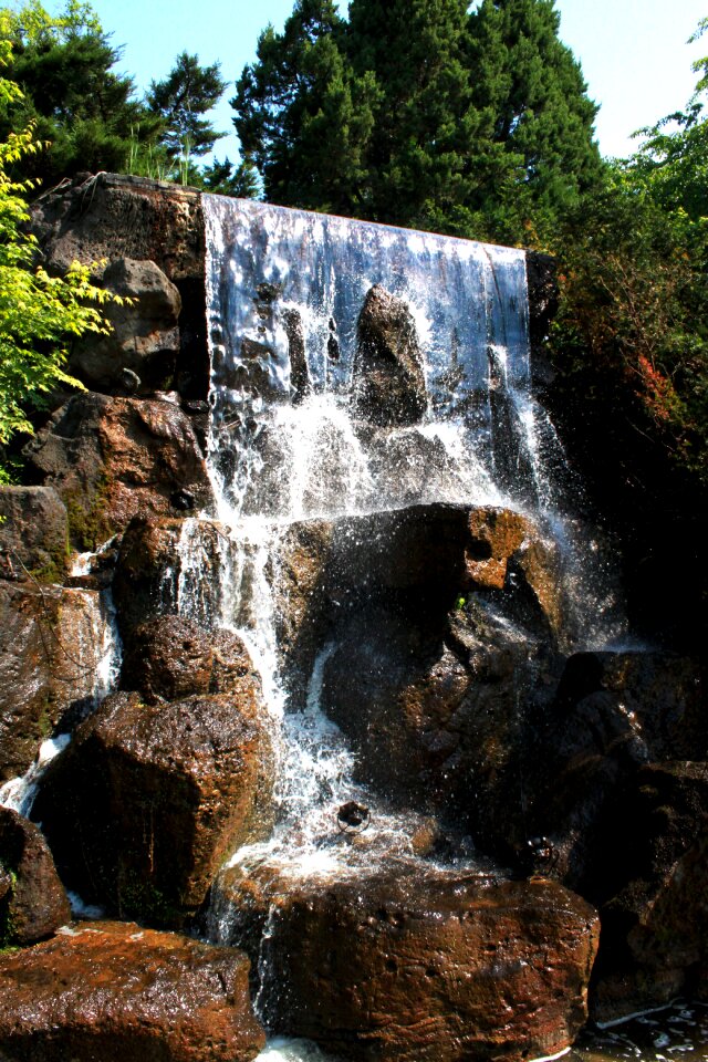 Valley healing summer