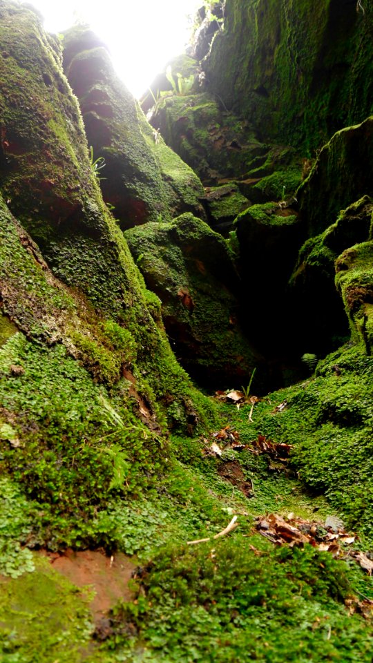 Devil's Pulpit / Finnich Glen
