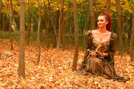 Leaves yellow forest