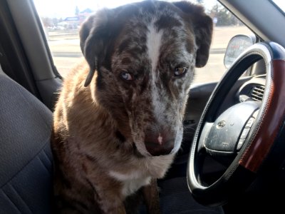 My Driver is Giving Me Side Eye