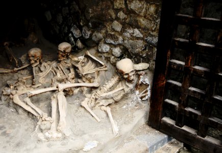 Skeletons in the' Boat Houses', Herculaneum