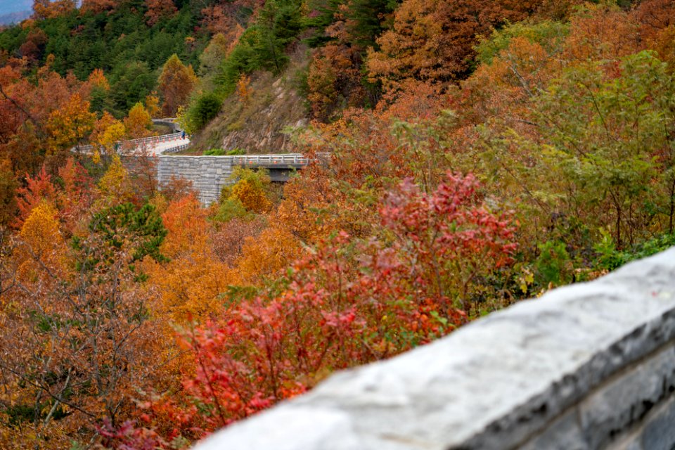 Foothills Parkway Community Day, November 8, 2018--Joye Ardyn Durham
