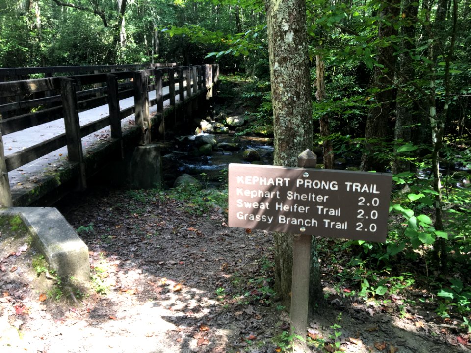 Kephart Prong Trailhead, August 2017--Christine Hoyer