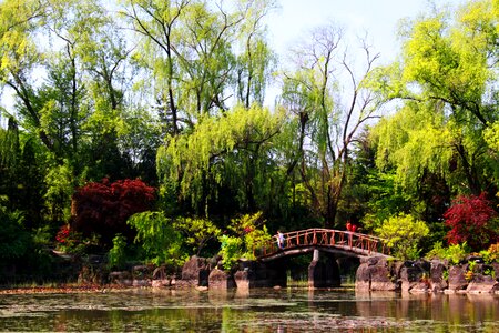 Lake river bridge photo