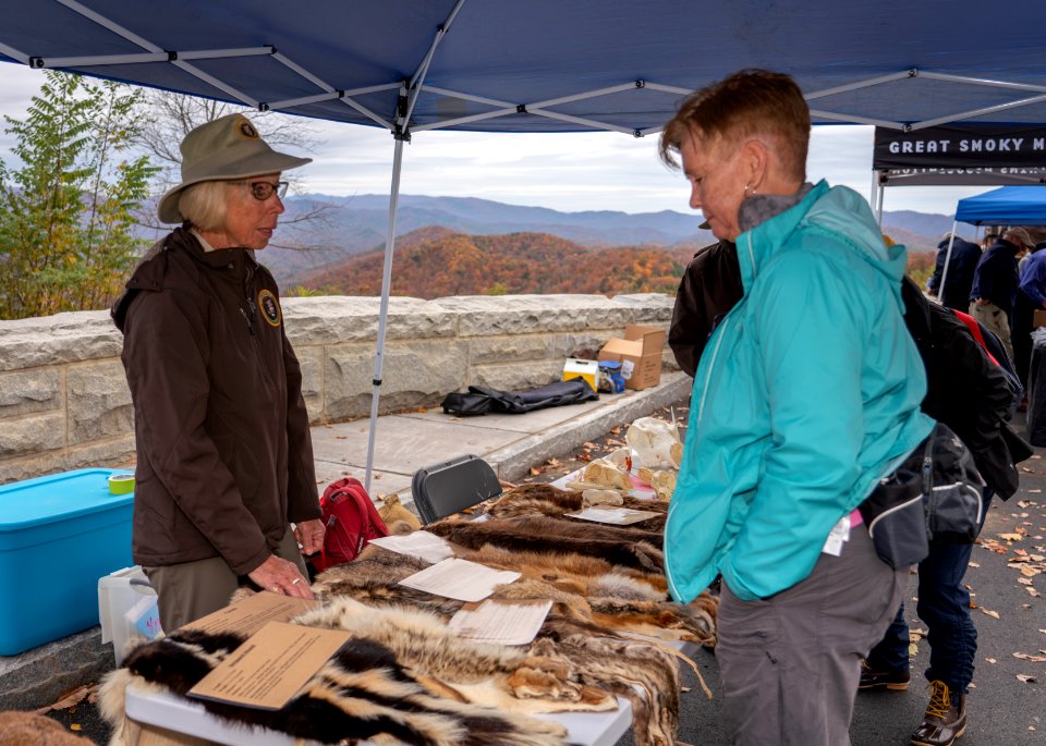 Foothills Parkway Community Day, November 8, 2018--Joye Ardyn Durham