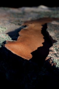 Miniature Mogollon Rim