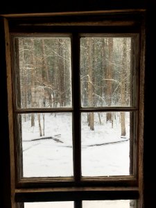 Looking out from the John Ownby cabin, January 2018--Andrea Walton