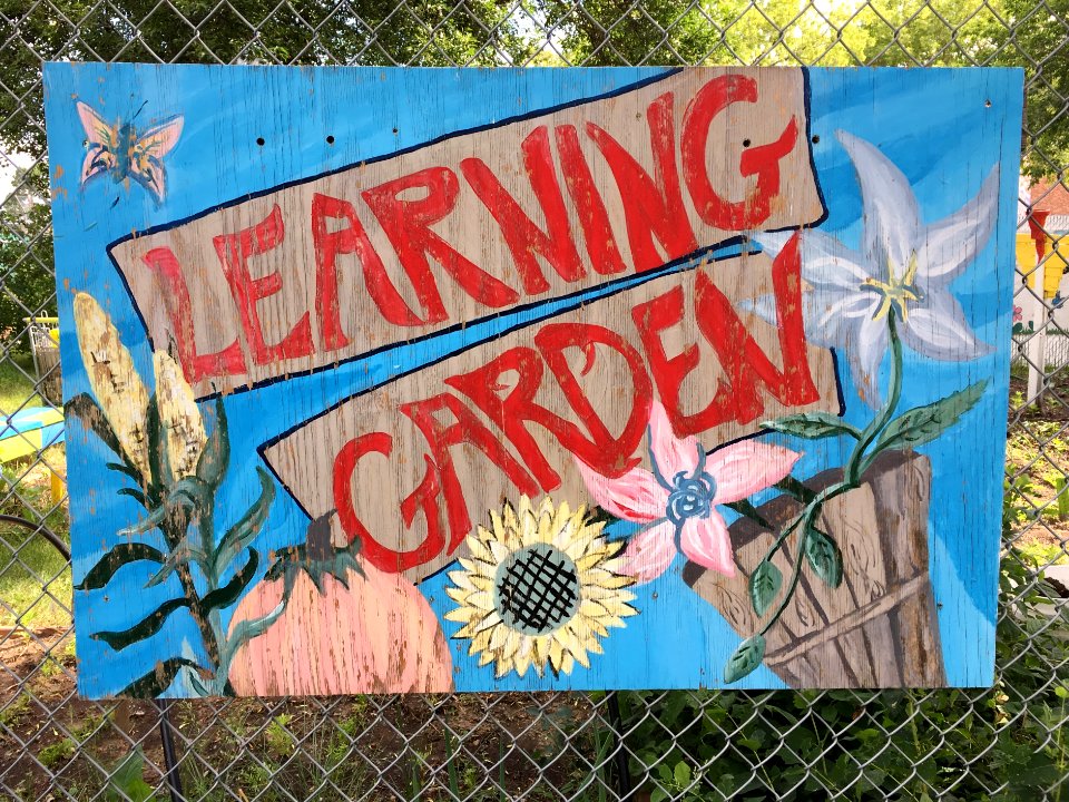 Let The Learning Grow