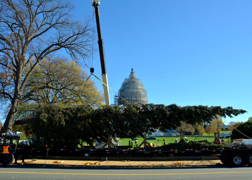 20151120-FS-DC-0006
