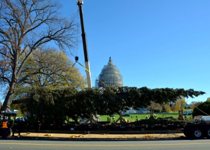 20151120-FS-DC-0006