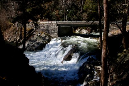 The Sinks, February 2019--Warren Bielenberg