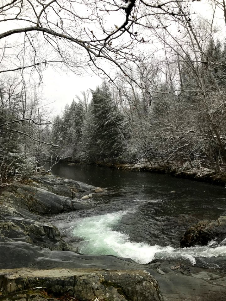 Snowy stream at Greenbrier--Andrea Walton