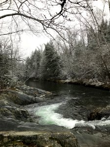 Snowy stream at Greenbrier--Andrea Walton