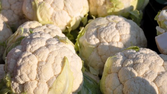 Vegetables cauliflower food