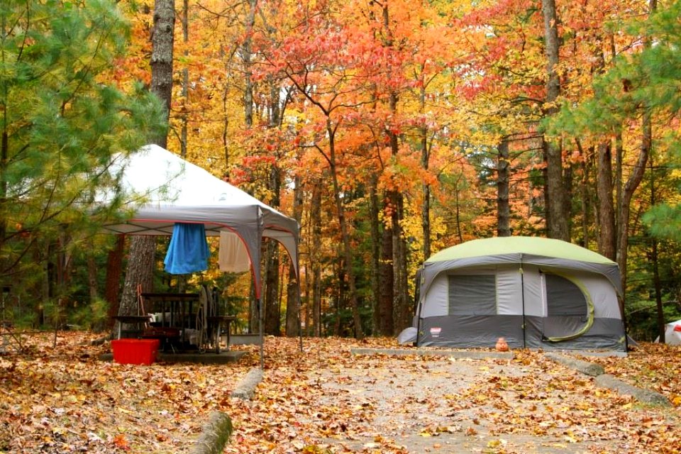 Fall at Cades Cove Campground, October 2013--Warren Bielenberg