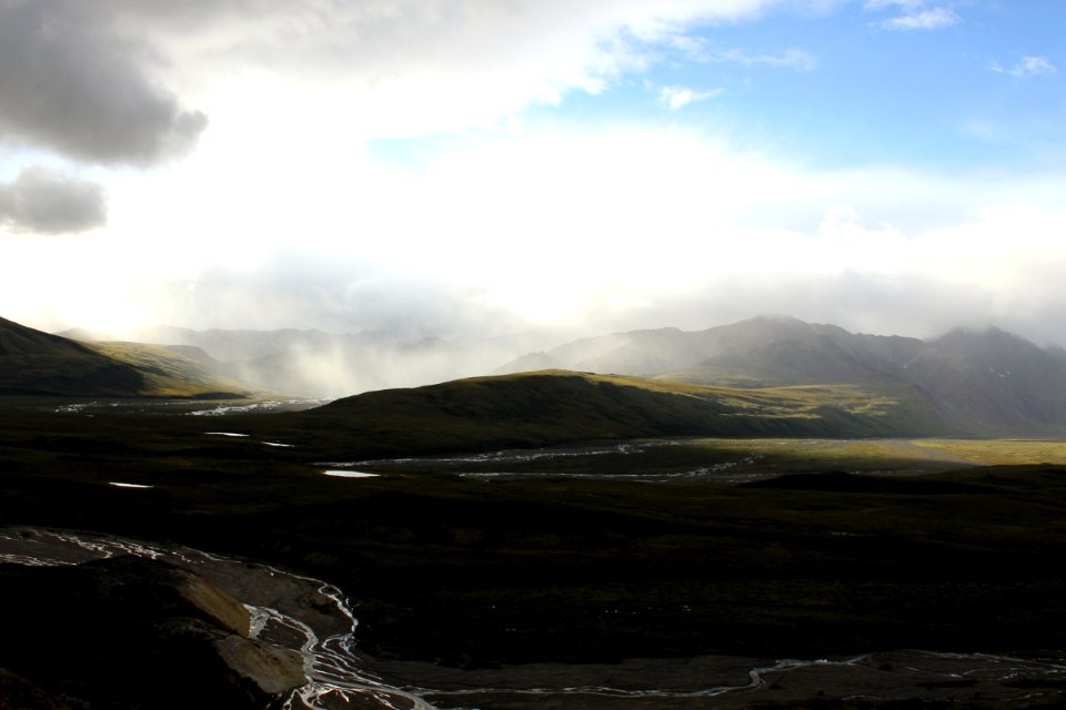 Denali National Park 8