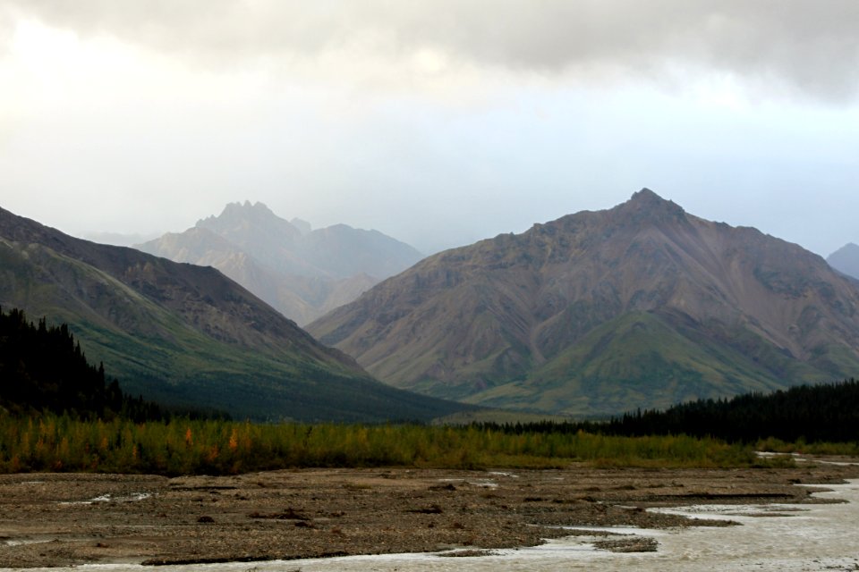 Denali National Park 15