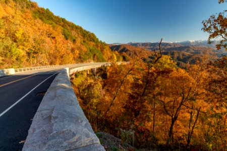 Foothills Parkway, November 2018--Joye Ardyn Durham