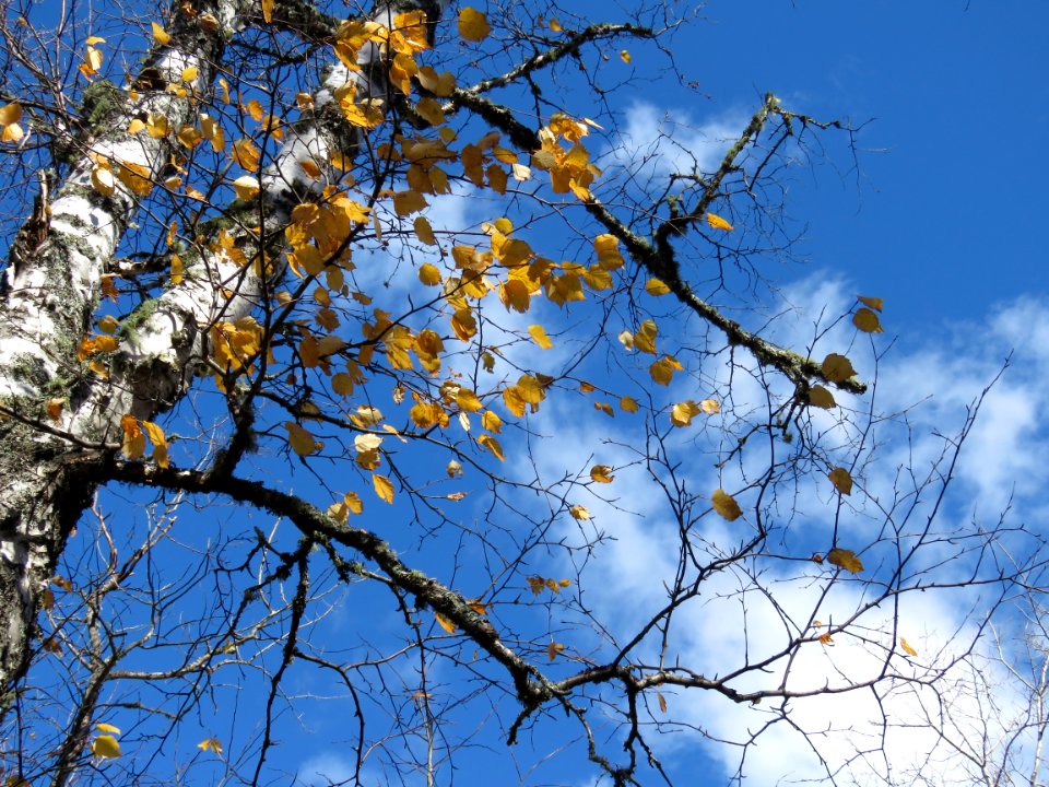 20201013-FS-Superior-SAR-005