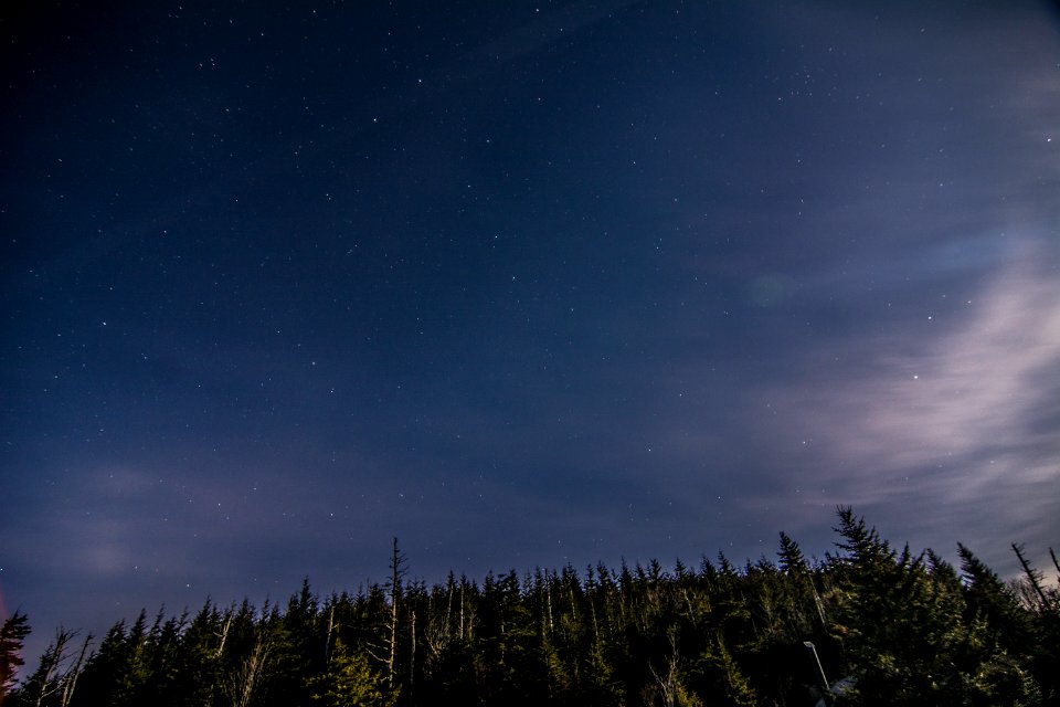 Night sky at Clingmans Dome, March 2018--Thom McManus