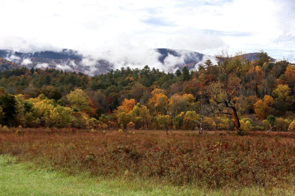 Cades Cove, October 24, 2020 -- Warren Bielenberg (2)