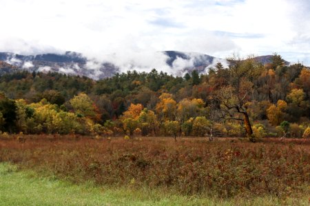 Cades Cove, October 24, 2020 -- Warren Bielenberg (2)
