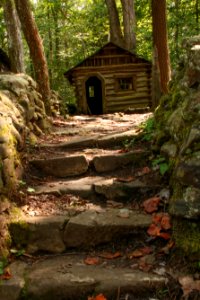 "Adamless Eden," Elkmont, September 2018--Warren Bielenberg