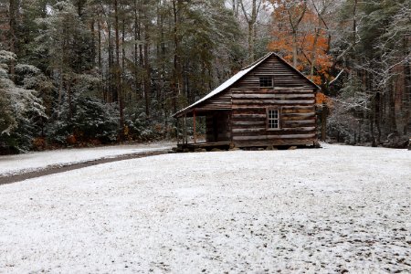 Early season snow in Cades Cove--Erin Sullivan, 11/12/19