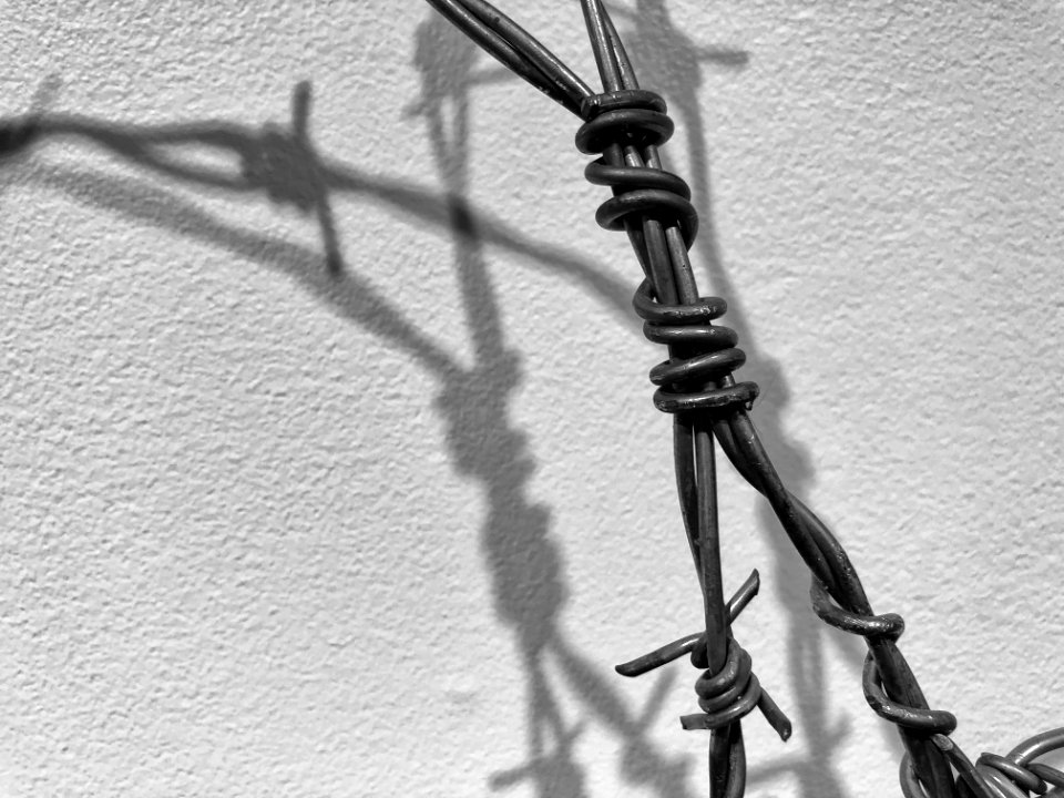 2019/365/250 Strands of Hope