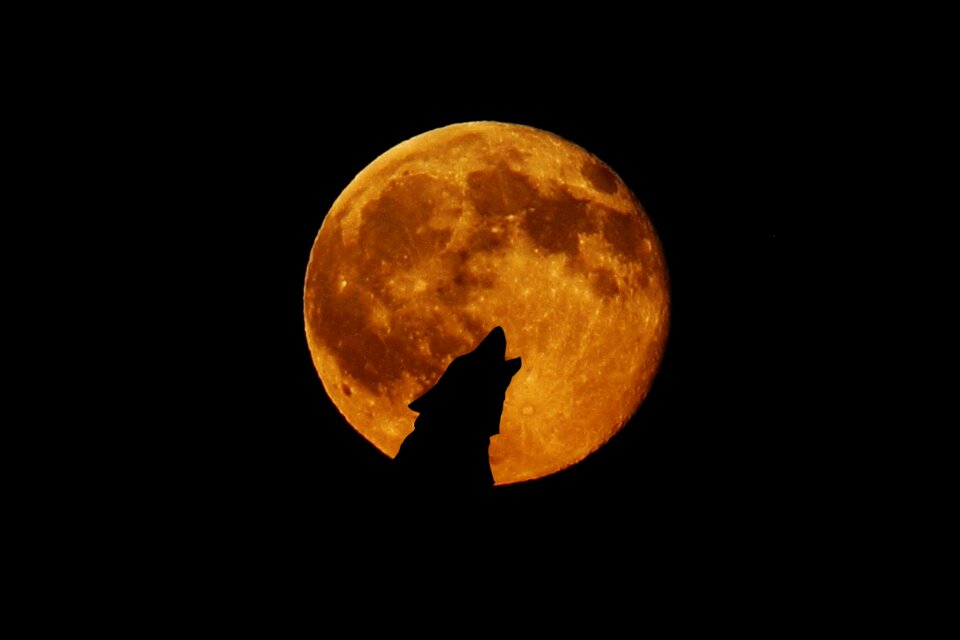 Howl photomontage atmosphere