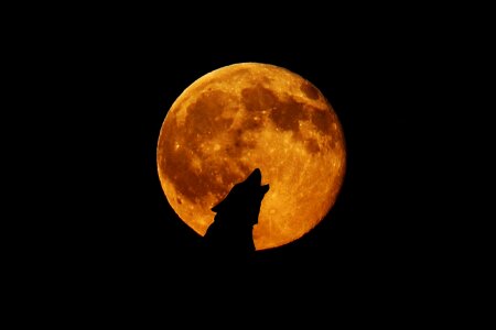 Howl photomontage atmosphere
