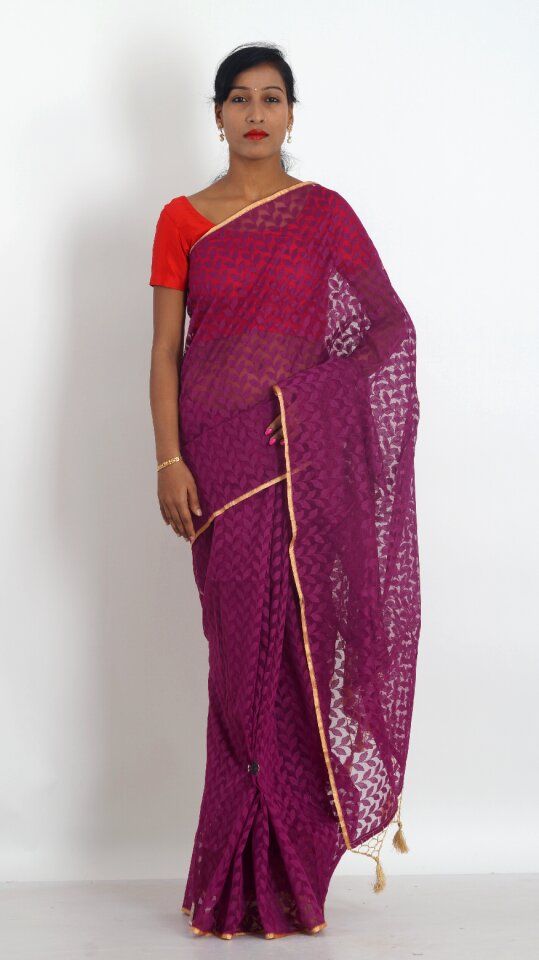 Womens wear indian clothing traditional