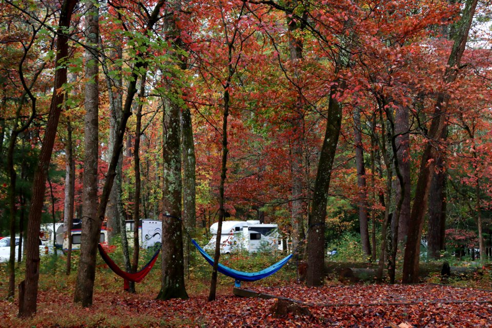 Cades Cove Campground, October 24, 2020 -- Warren Bielenberg (7)