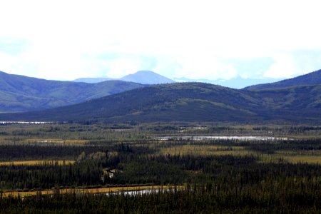 ALCAN Highway 1