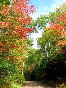 Along the fall color route