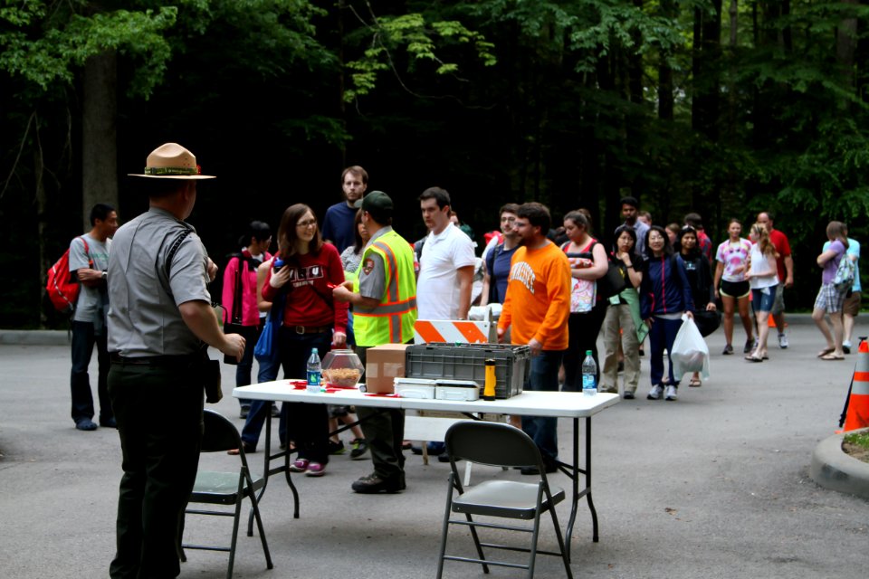 Synchronous Fireflies, June 2013--Warren Bielenberg